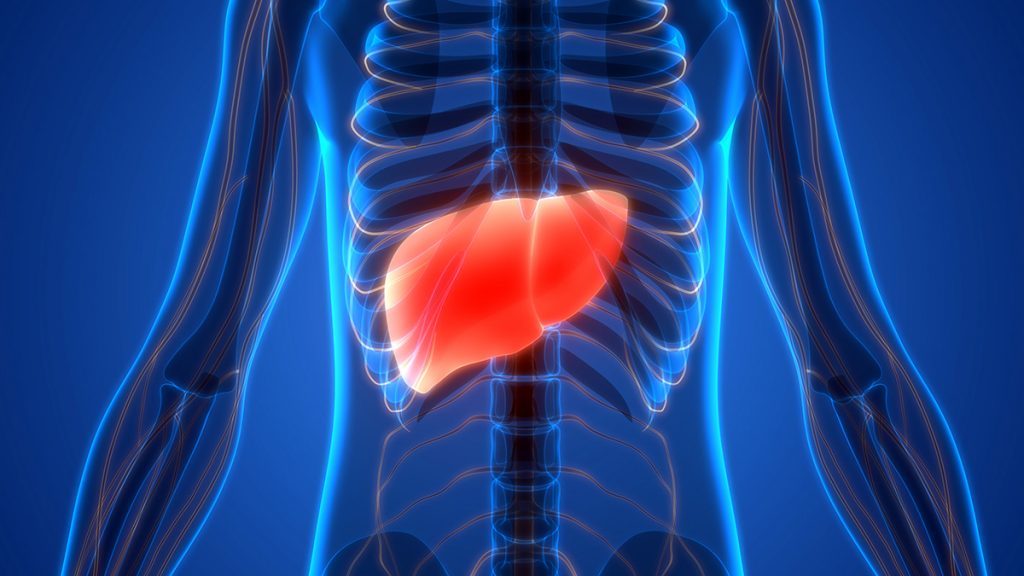 Masna jetra – šta je i kako se liječI?