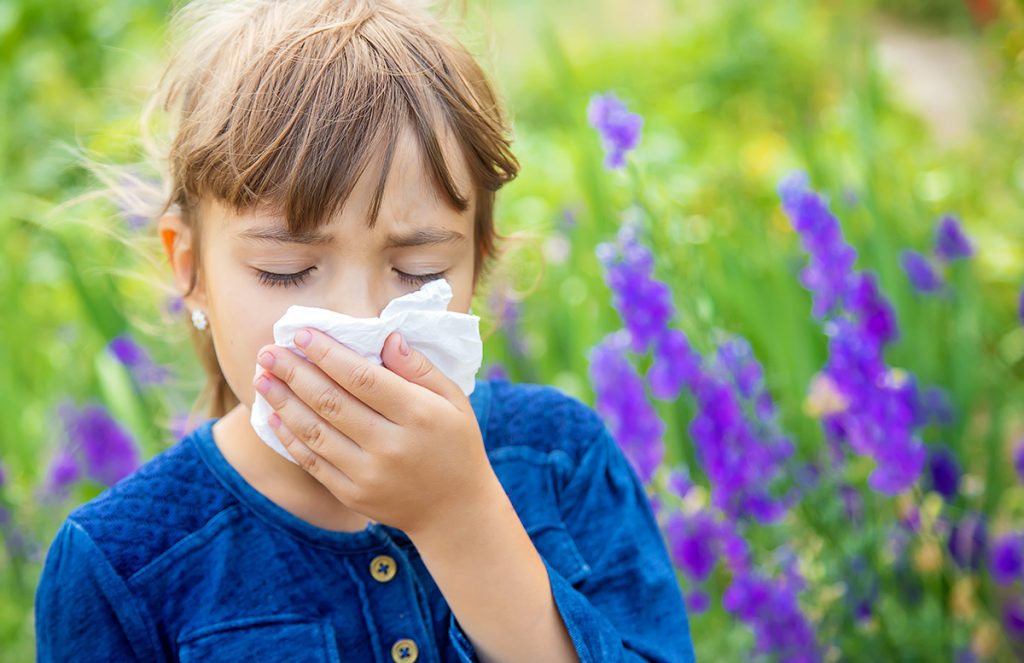 Sindrom „polen – alergija na hranu“
