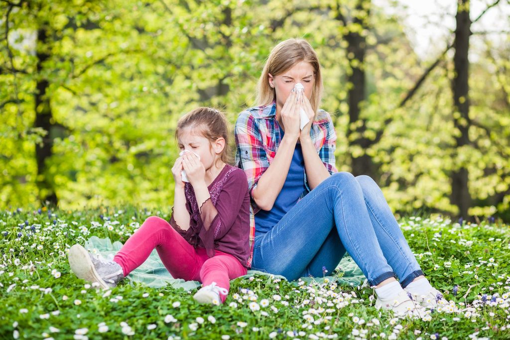 Alergija na polen